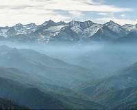 Changing climate could have devastating impact on forest carbon storage