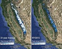 Snowpack declines may stunt tree growth and forests' ability to store carbon emissions