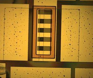 The Body Electric: Researchers Move Closer to Low-Cost, Implantable Electronics