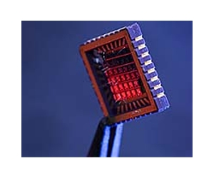 Strain and spin may enable ultra-low-energy computing