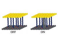 Frozen Lightning Offers New Type Of Nanoelectronic Switch