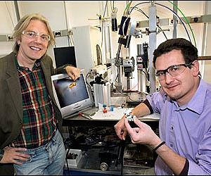 Structural Distortions Emerge From Nothing At The Nanoscale