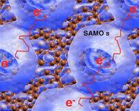 Half spheres for molecular circuits