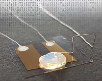 Smallest transistor worldwide switches current with a single atom in solid electrolyte