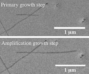 Amplified nanotubes may power the future