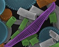 New, greener fuel cells move step closer to reality