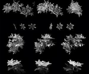 Snowflakes falling on cameras