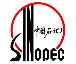 Sinopec increases stake in LNG