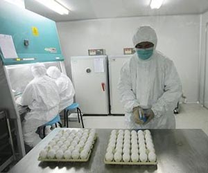 Asian manufacturing weakness deepens: Surveys