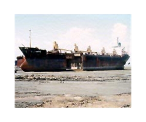 Environmentalists slam Bangladesh climbdown over toxic ships