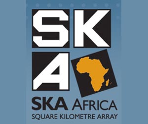 Exploring The Universe With The African-European Radio Astronomy Platform