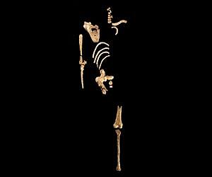 Discovery Of 3.6 Million-Year-Old Relative Of 'Lucy'