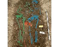 Research uncovers historical rise, fall and re-emergence of plague strains
