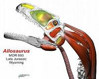 New meat-eating dinosaur species found in Utah