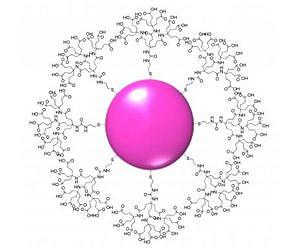 Branch offices: New family of gold-based nanoparticles could serve as biomedical 'testbed'
