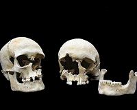 Skull shape analysis highlights migratory movements in Ancient Rome