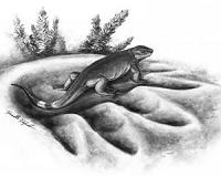 Earliest ancestor of land herbivores discovered