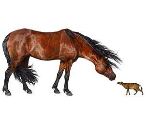 Global warming led to dwarfism in mammals twice