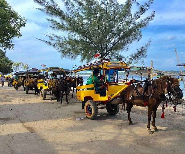 The last carriage horses of Indonesia's capital endure harsh lives