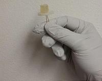 Light emitting diodes made from food and beverage waste
