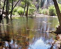 Small ponds have outsized impact on global warming: study