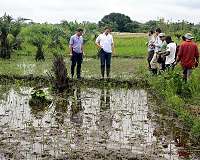 Syngenta chief calls for debate on 'sustainable agriculture'