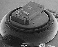 Swarms Of Nano-Nauts