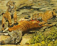 Extinct Sabertooth Cats Were Social