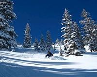 Climate study delivers dire warning on Alpine snow