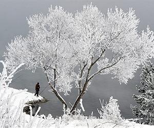 Expert says climate cooling misinterpreted
