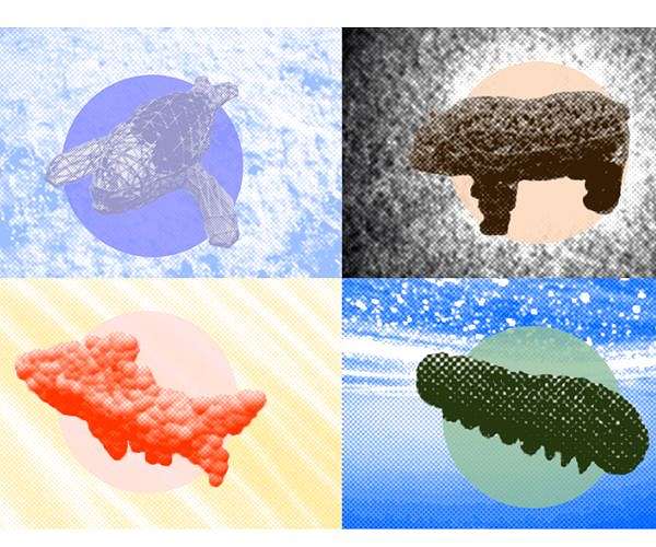 SNU Engineers Develop Shape-Shifting Soft Robot for Crawling, Climbing, and Adaptive Movement