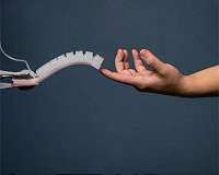 Engineers build a soft robotics perception system inspired by humans