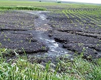 Natural engineering offers solution against future flooding