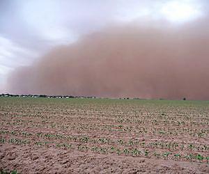 Understanding Microbes Blowing in the Wind