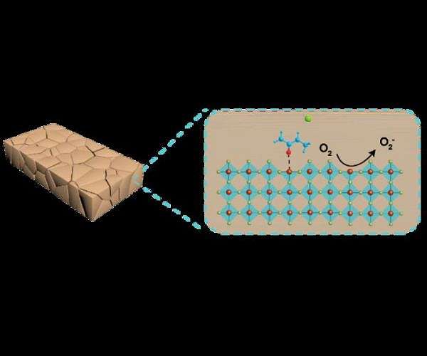 Effect of sulfur composition on tin sulfide for improving solar cell performance