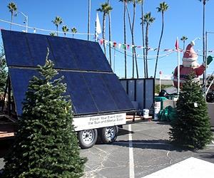 Lithuanians recycle Christmas trees into biofuel