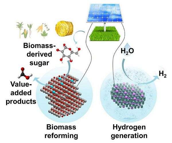 Solar co-electrolysis process converts biomass sugars to low cost green hydrogen