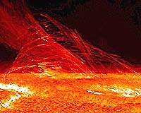 New Phenomena On The Sun