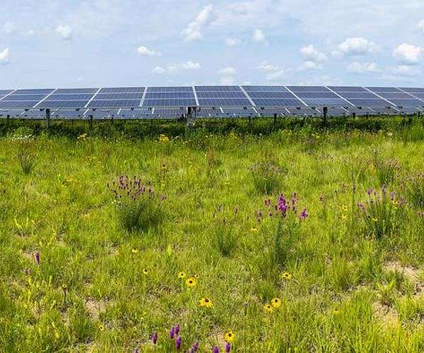 Italy bans ground-mounted solar panels on agricultural land