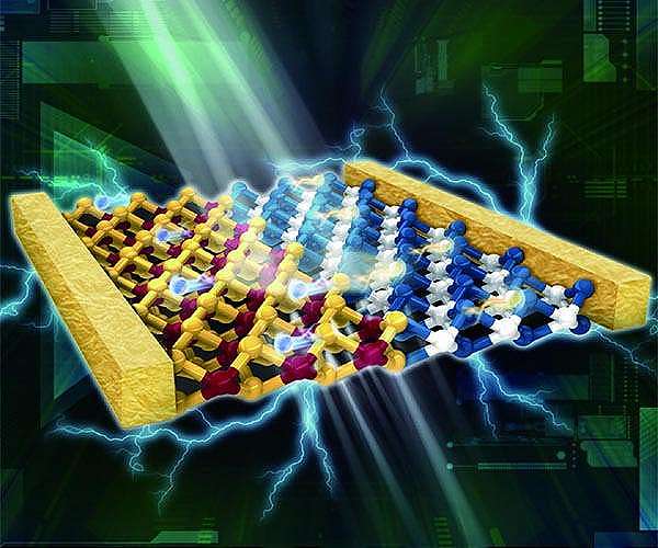 The structure-performance of bulk-heterojunction organic solar cells