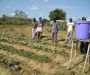Solar Irrigation Boosts Local Incomes In Africa
