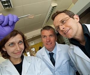 Researchers Develop Golden Window Electrodes For Organic Solar Cells