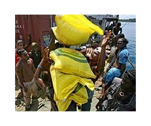Rescuers struggle to aid Solomons quake victims