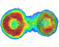 Powerful new imaging method reveals in detail how particles move in solution
