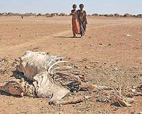 Somalia faces worst food crisis in 18 years: UN