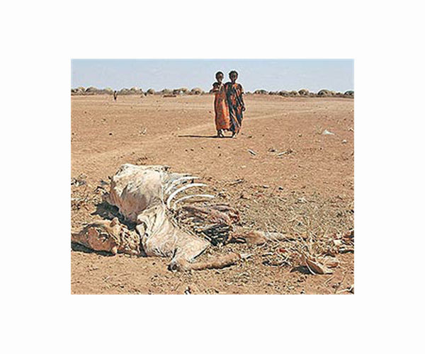 Many may already have 'starved to death' in Somalia: WHO