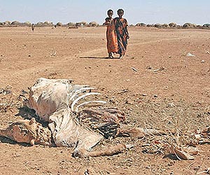 Lender tests drought insurance for African farmers