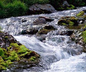 World leaders must focus on clean water, activists say
