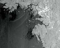 Envisat Captures South Korea's Crude Oil Leak