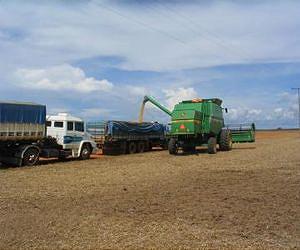 Chinese demand fuels record soy crops in South America